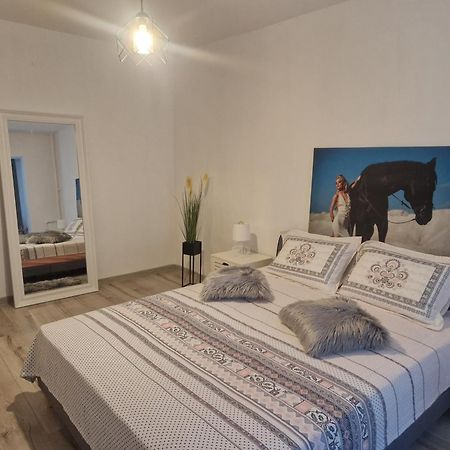 Apartament De Lux Craiova Buitenkant foto